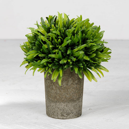 Grass In Gray Skinny Pot