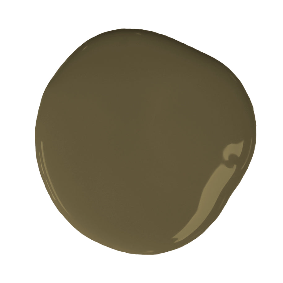 Olive image 2