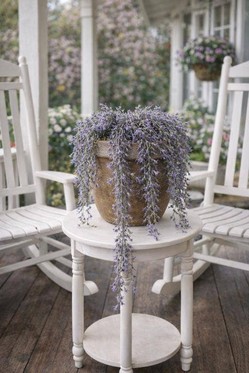 Lavender Frost
