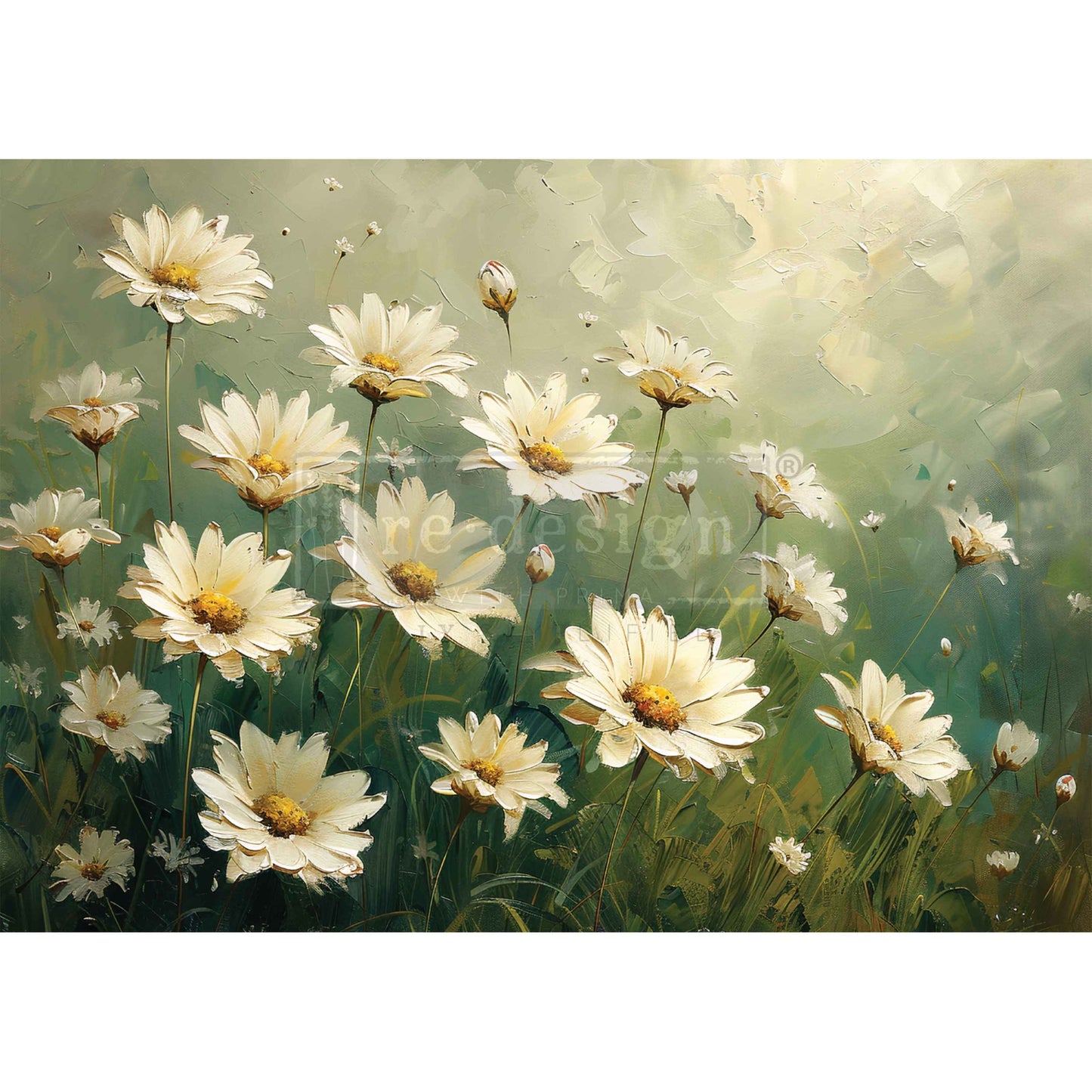 Whispering Daisies