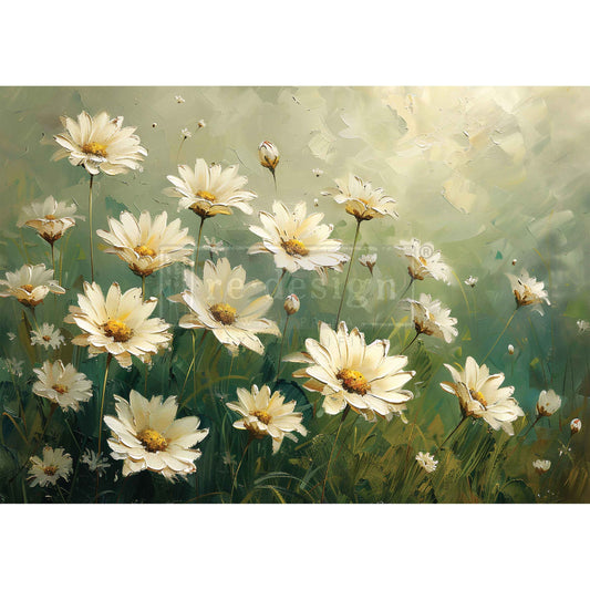 Whispering Daisies