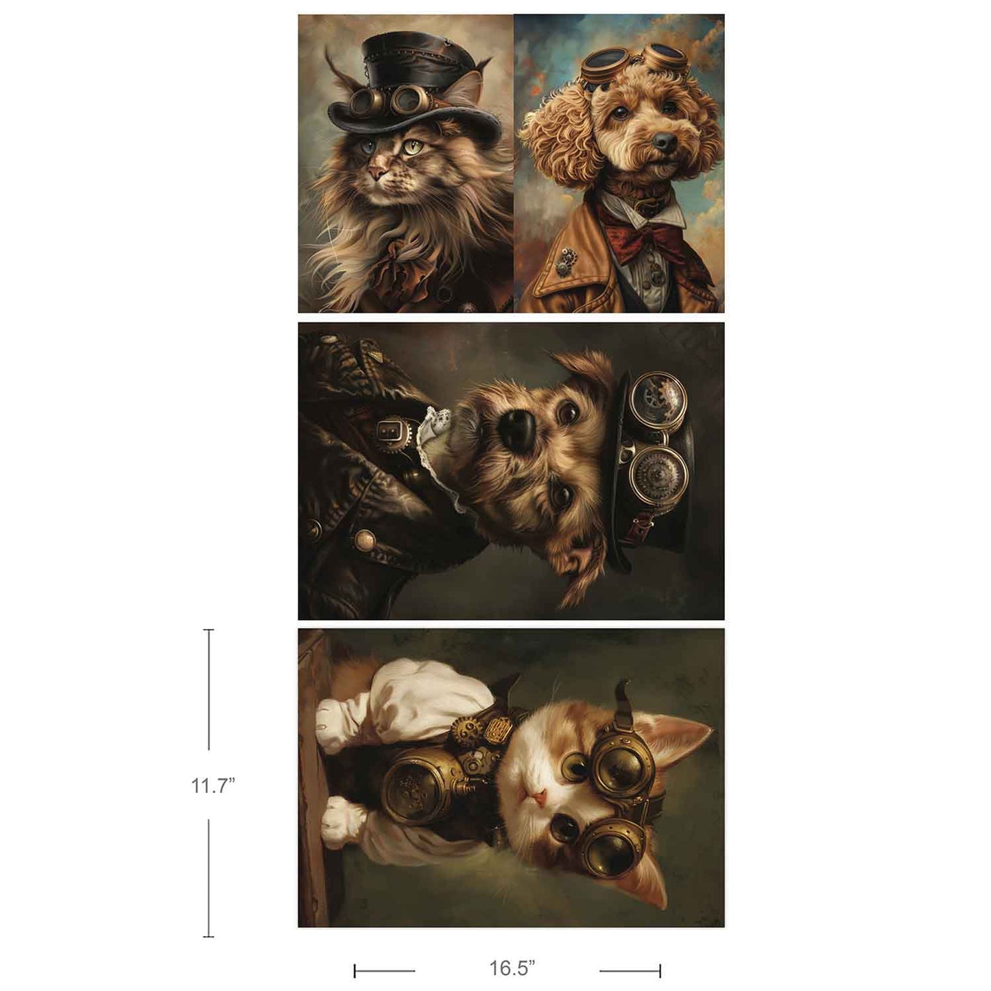 Favorite Pets