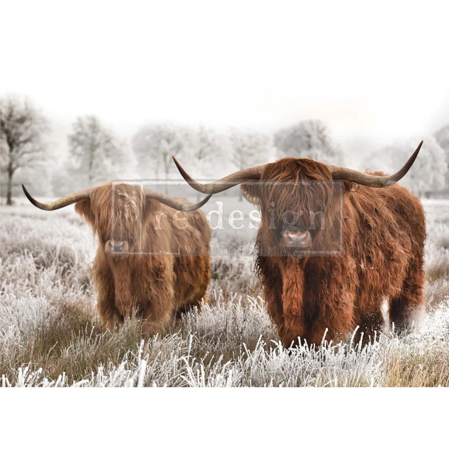Highland Harmony
