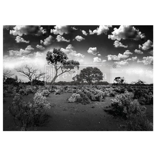 Serene Wilderness